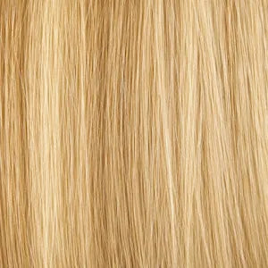 Shade 18.613 Ash Blonde with Light Blonde Highlights