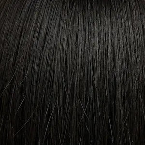 Shade 1B Natural Black