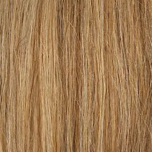 Shade 8.24 Brown with Golden Blonde Highlights